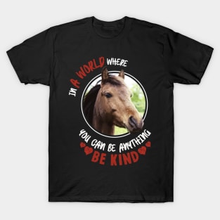 In A World Where You Can Be Anything Be Kind T-Shirt